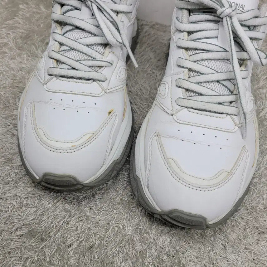 [BUNJANG] National Geographic Sneakers (Used) / 구제짱짱맨 260 내셔널지오그래픽 스니커즈
