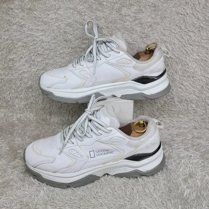 [BUNJANG] National Geographic Sneakers (Used) / 구제짱짱맨 260 내셔널지오그래픽 스니커즈