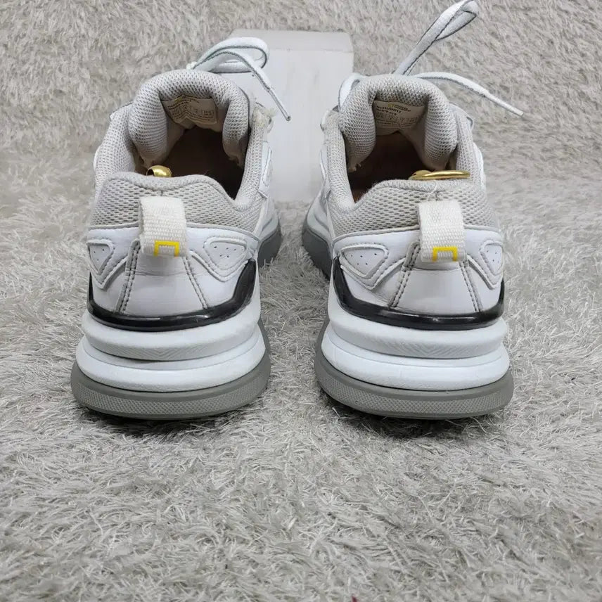 [BUNJANG] National Geographic Sneakers (Used) / 구제짱짱맨 260 내셔널지오그래픽 스니커즈