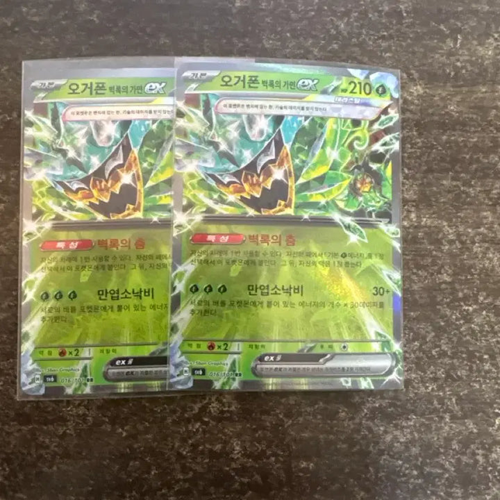 [BUNJANG] Pokemon Ogerpon Wellspring Mask EX Trading Card / 포켓몬카드 - 오거폰 벽록의 가면 EX (1장 당 500원)