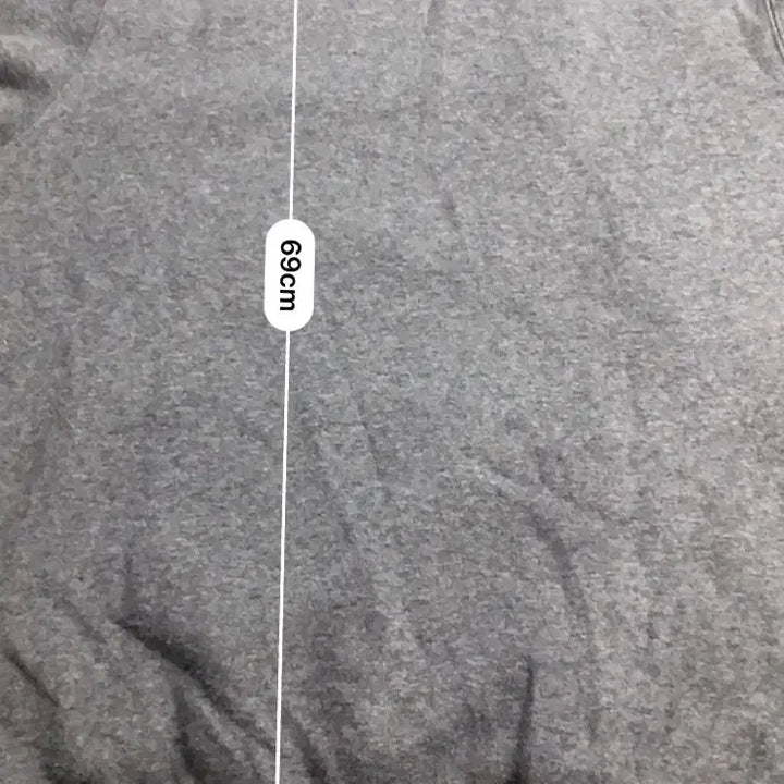[BUNJANG] Dickies Logo Hoodie / 디키즈 로고 후드티