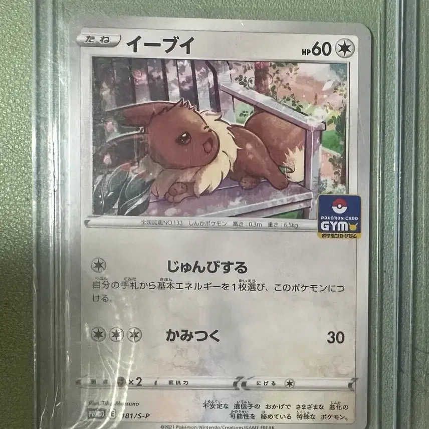 [SOLD OUT] 포켓몬카드 일판 짐프로모 이브이