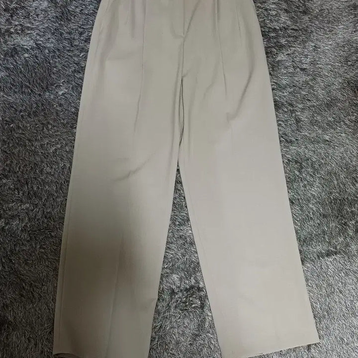 [BUNJANG] JJ JIGOTT Two-Tuck Wide Pants / jj ro 제이제이 지고트 투턱 와이드 팬츠 25 여성