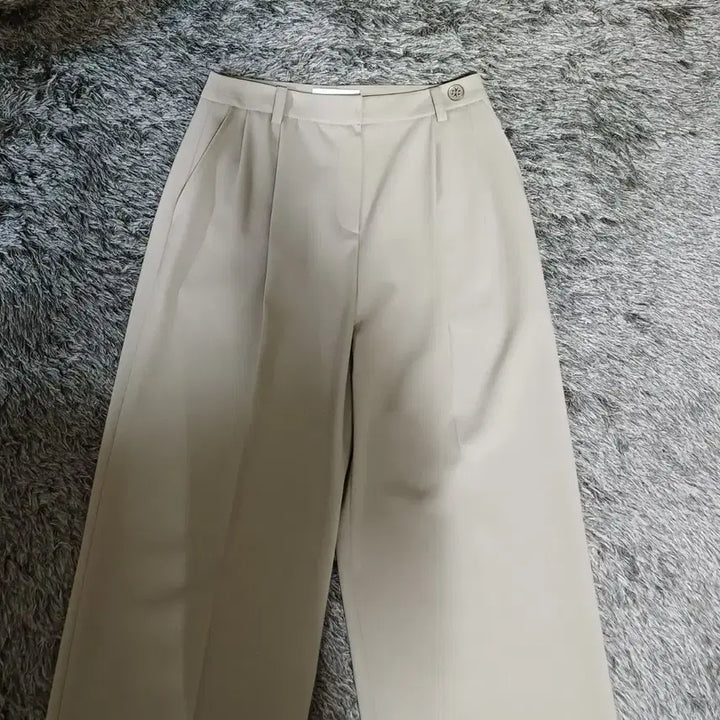 [BUNJANG] JJ JIGOTT Two-Tuck Wide Pants / jj ro 제이제이 지고트 투턱 와이드 팬츠 25 여성