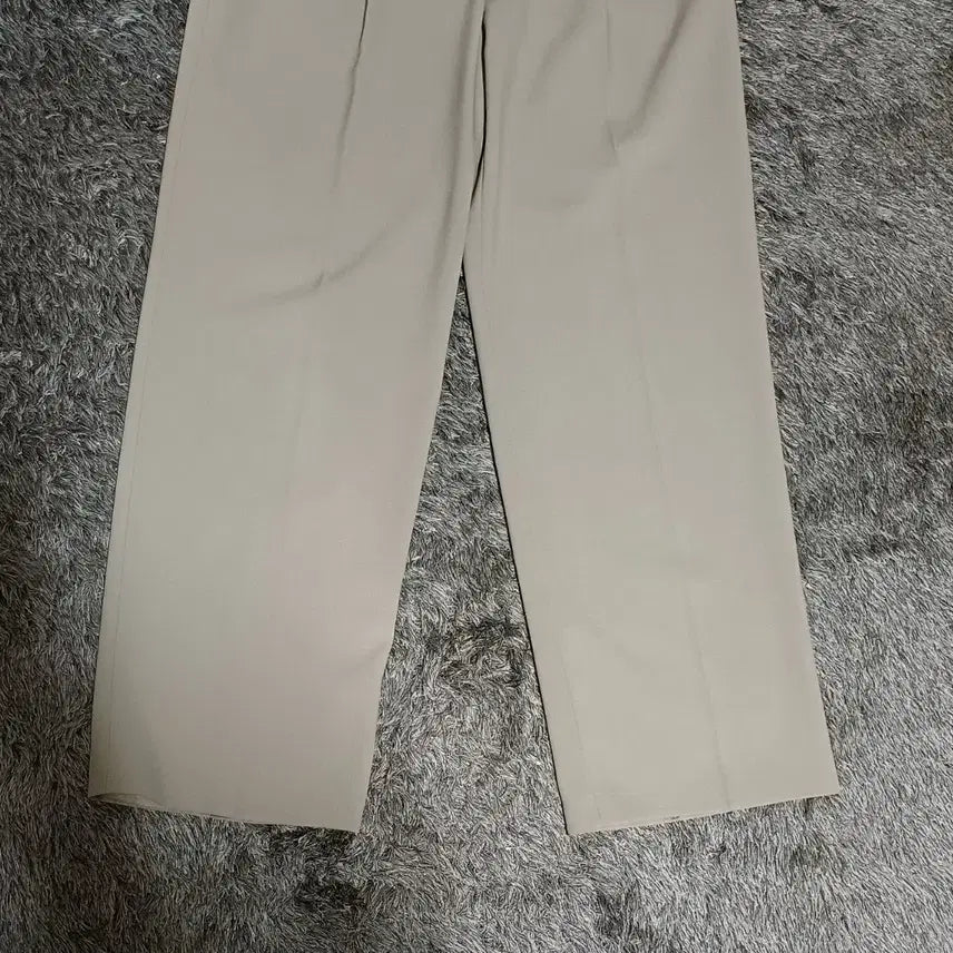[BUNJANG] JJ JIGOTT Two-Tuck Wide Pants / jj ro 제이제이 지고트 투턱 와이드 팬츠 25 여성