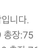 [SOLD OUT] [46] 모마디자인 시스루 레이온 스트라이프 셔츠