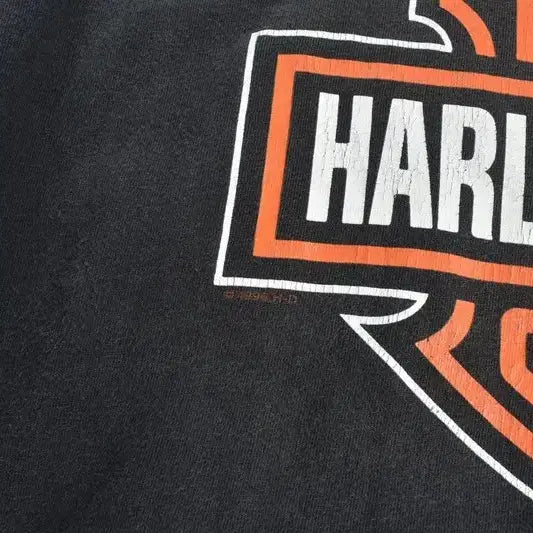 [BUNJANG] Harley Davidson Southern Nevada Las Vegas T-shirt / 90S 레어 USA 할리데이비슨 반팔티 M0283