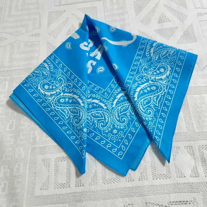 [BUNJANG] Sierra Designs Blue Paisley Bandana / 시에라디자인 블루 페이즐리 반다나