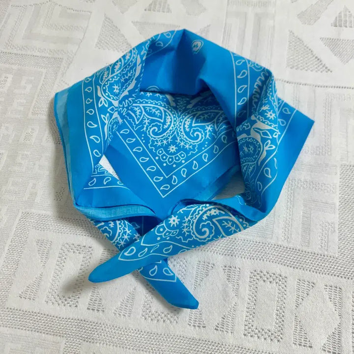 [BUNJANG] Sierra Designs Blue Paisley Bandana / 시에라디자인 블루 페이즐리 반다나