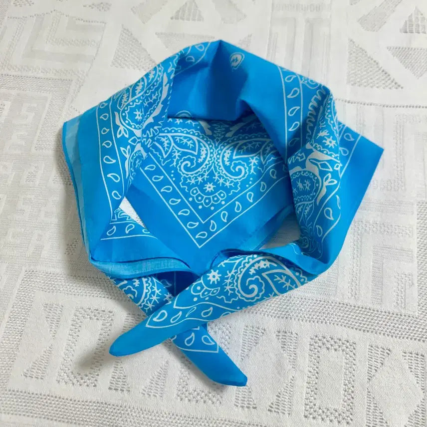 [BUNJANG] Sierra Designs Blue Paisley Bandana / 시에라디자인 블루 페이즐리 반다나