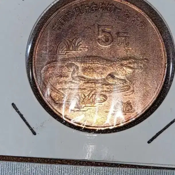 [BUNJANG] Chinese Coin Collection / D52.중국동전.고전주화.옛날돈.해외주화.외국동전.한국동전.엽전.별전