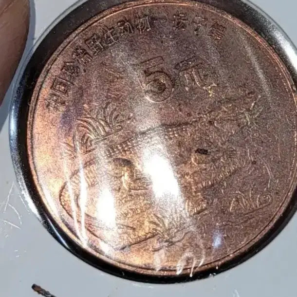 [BUNJANG] Chinese Coin Collection / D52.중국동전.고전주화.옛날돈.해외주화.외국동전.한국동전.엽전.별전