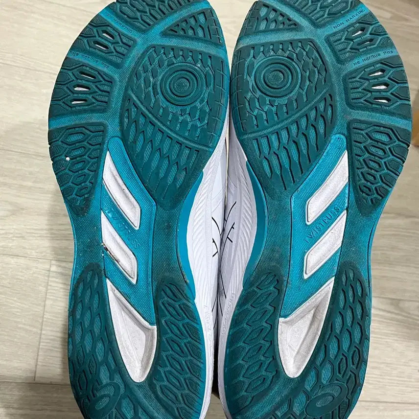 [BUNJANG] Asics Rote Libre Japan Indoor Shoes / 아식스 로테 리브레 재팬 체대입시화 인도어화