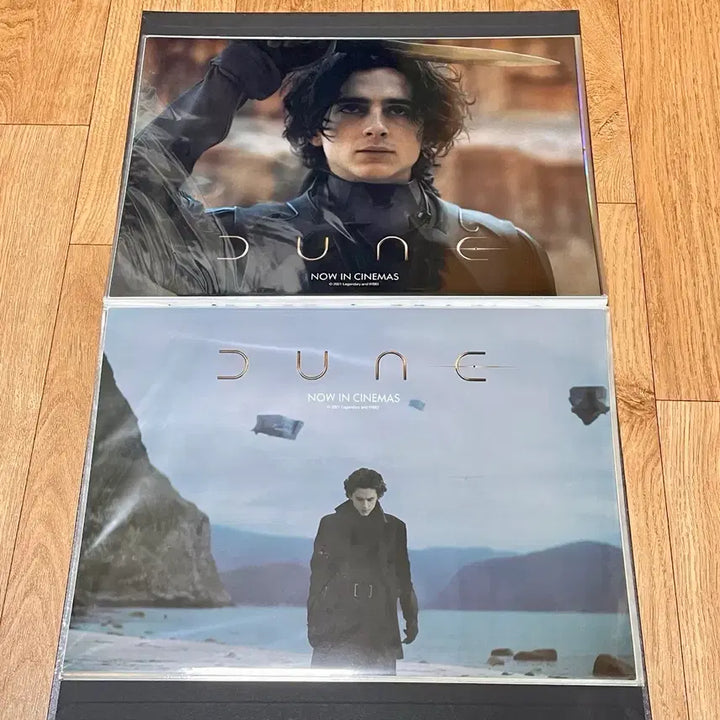 [BUNJANG] Dune: Part One CGV/Megabox Poster / 듄 파트1 아트웍 PET CGV/롯데시네마 포스터 DUNE
