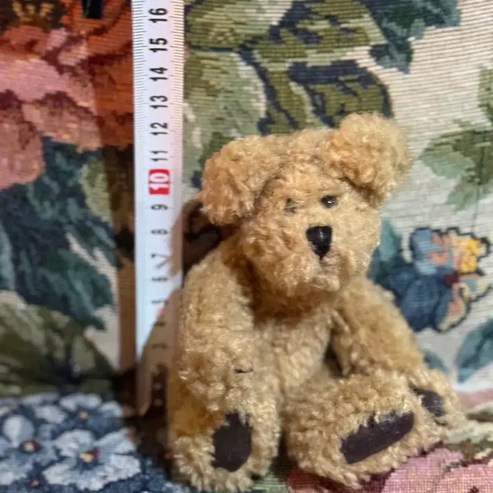 [BUNJANG] Boys Bear Mini Bear Doll / 보이즈베어 미니 곰인형