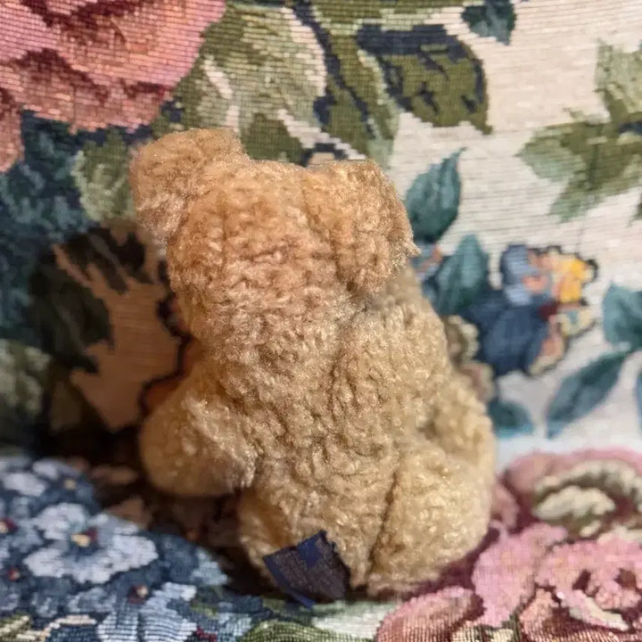 [BUNJANG] Boys Bear Mini Bear Doll / 보이즈베어 미니 곰인형