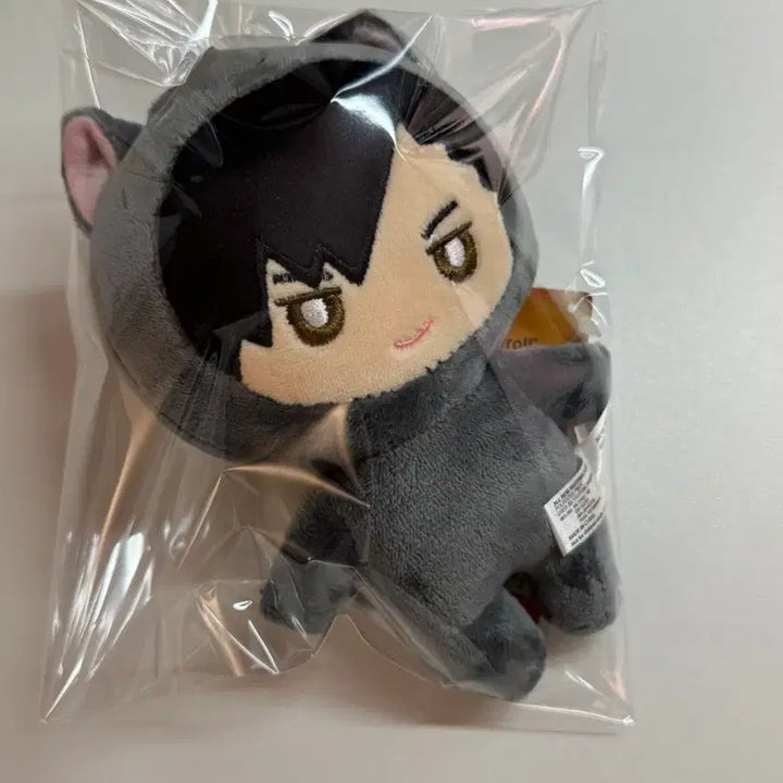 [BUNJANG] GEE Kuroo Tetsuro Cat Plush Doll / GEE 하이큐 쿠로오 테츠로 고양이 인형