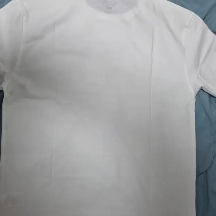 [BUNJANG] Beverly Hills Polo Club White Bear Logo T-Shirt / 베벌리힐스폴로클럽 흰색 반팔 티셔츠