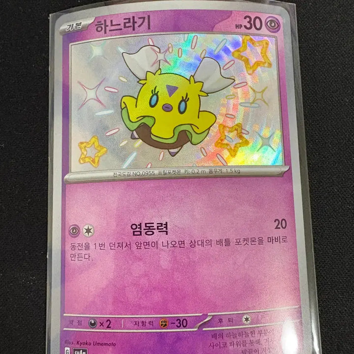 [SOLD OUT] 이로치 하느라기