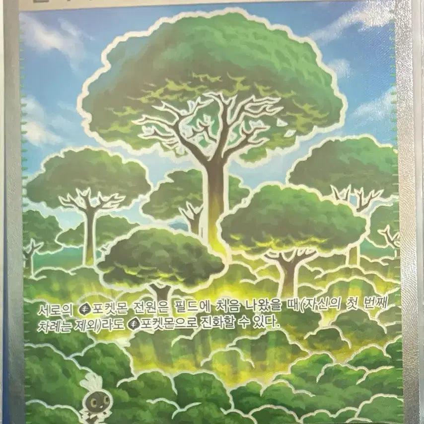 [SOLD OUT] 포켓몬카드 SR등급 8장 일괄판매