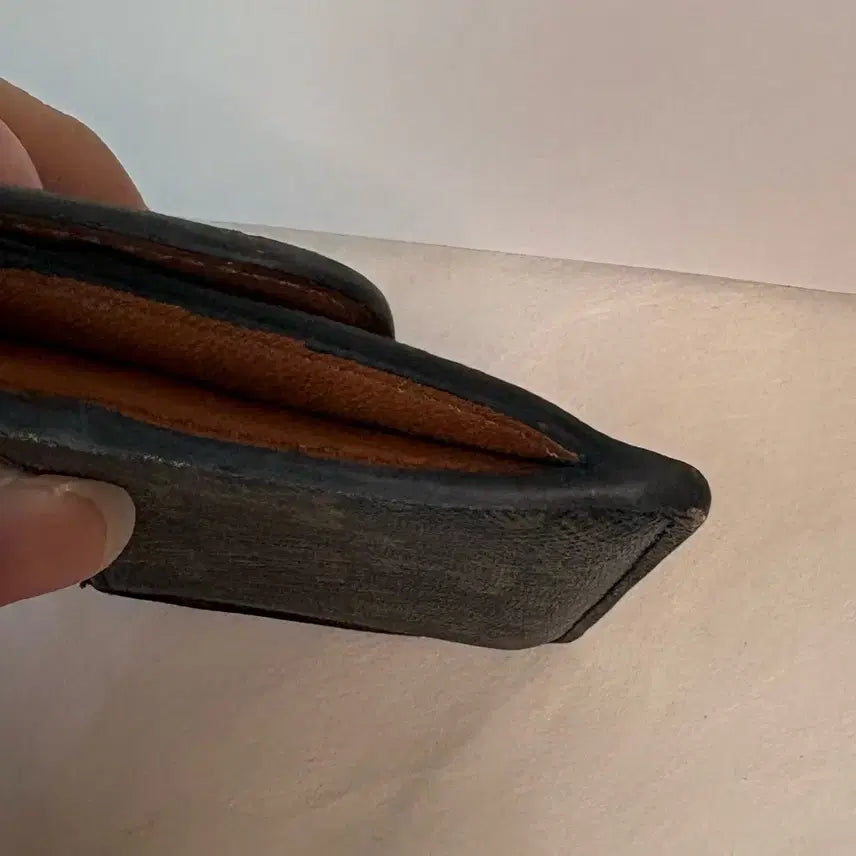 [BUNJANG] Celine Triomphe Canvas Card Wallet / [정품] 셀린느 트리옹프 카드지갑
