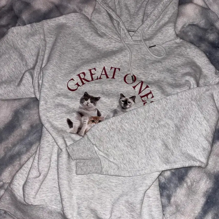 [BUNJANG] Topten Cat Hooded T-shirt / 탑텐 고양이 후드티