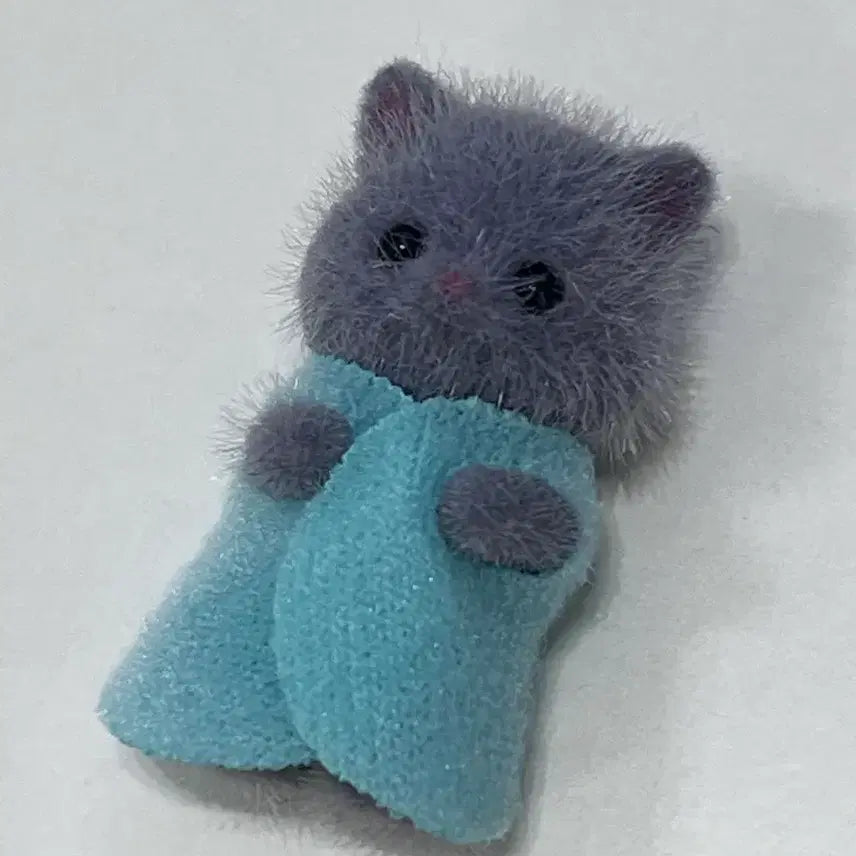 [SOLD OUT] 실바니안 페르시안 고양이 아기
