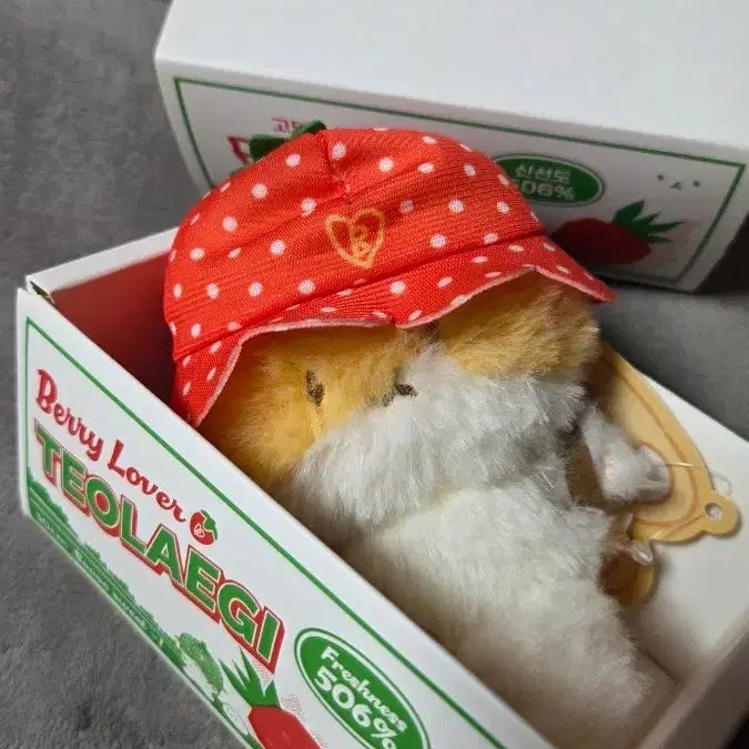 [BUNJANG] Strawberry Fleece Hat / 딸기 터래기 이 모자 좋은 분 양도