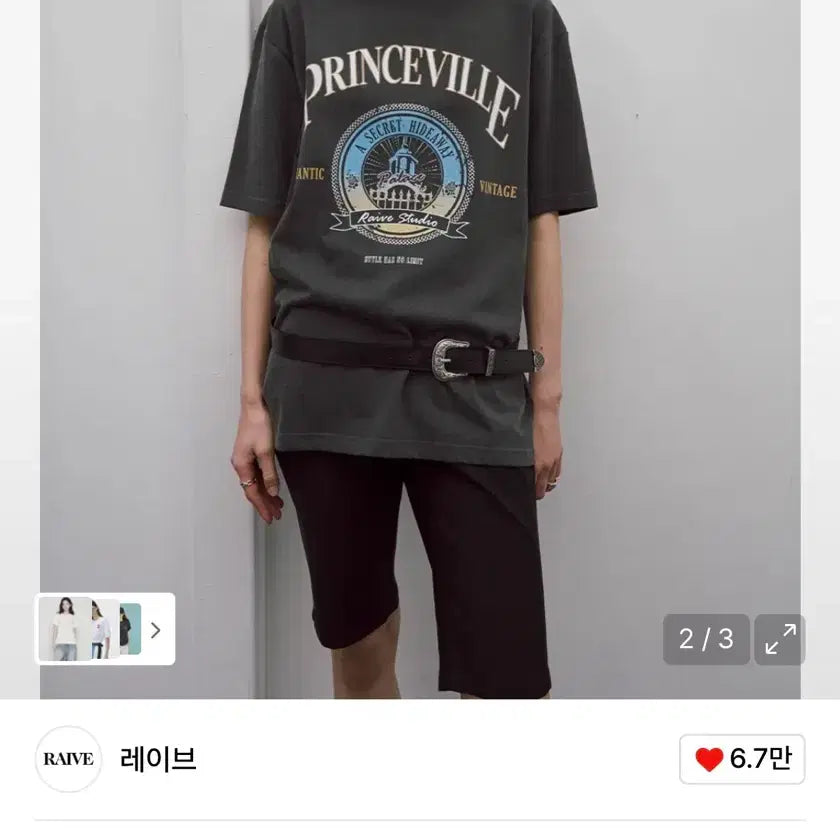 [BUNJANG] Raive Princeville Print Short Sleeve T-Shirt Grey S / 레이브 raive 프린스빌 프린트 반팔 티셔츠 그레이 S
