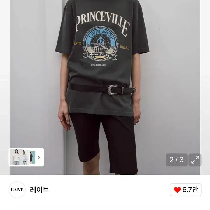 [BUNJANG] Raive Princeville Print Short Sleeve T-Shirt Grey S / 레이브 raive 프린스빌 프린트 반팔 티셔츠 그레이 S