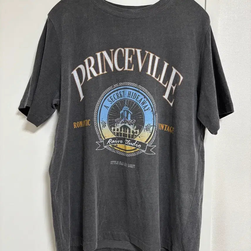 [BUNJANG] Raive Princeville Print Short Sleeve T-Shirt Grey S / 레이브 raive 프린스빌 프린트 반팔 티셔츠 그레이 S