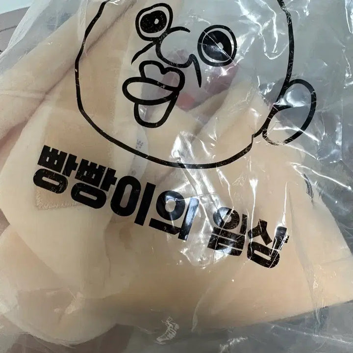 [BUNJANG] BBANGPPAANGI Chestnut Hat / 빵빵이 군밤모자 택 있음 미사용 판매