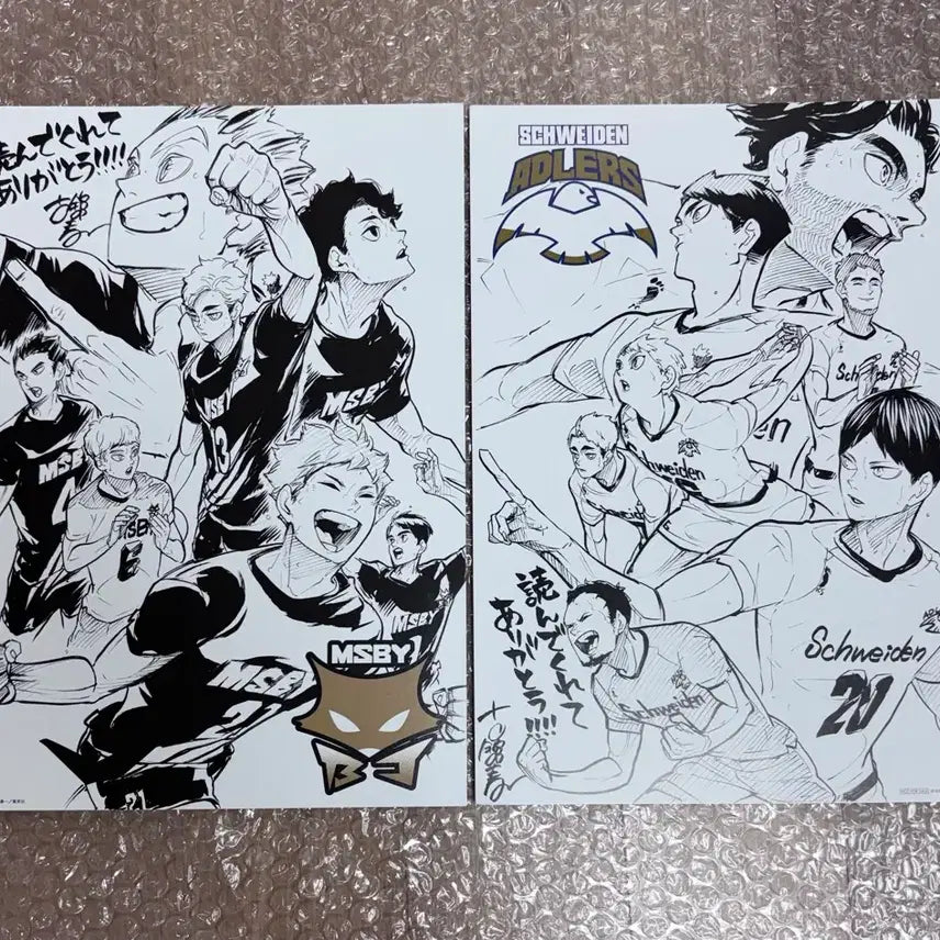 [BUNJANG] Haikyu 8.5th Anniversary Illustration Sheet Poster Set / 하이큐 8년반 감사 페어 블랙자칼 애들러스 일러스트 시트 포스터 세트