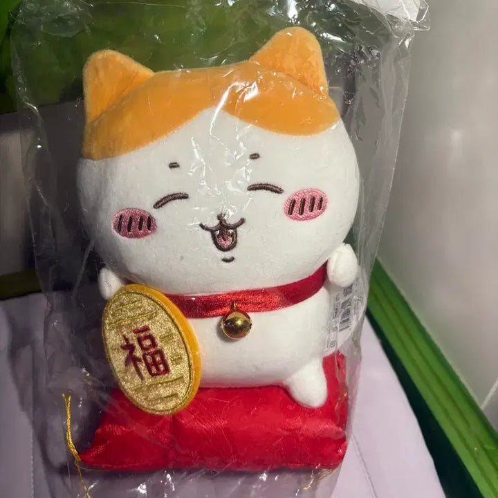 [SOLD OUT] 금치와레 누이(개봉)