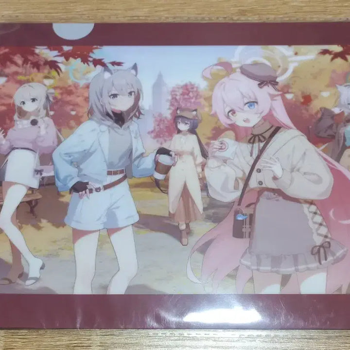[BUNJANG] Blue Archive Abydos Hoshino Autumn Limited Clear File / 블루 아카이브 일본 공식 아비도스 호시노 가을 한정 클리어 파일