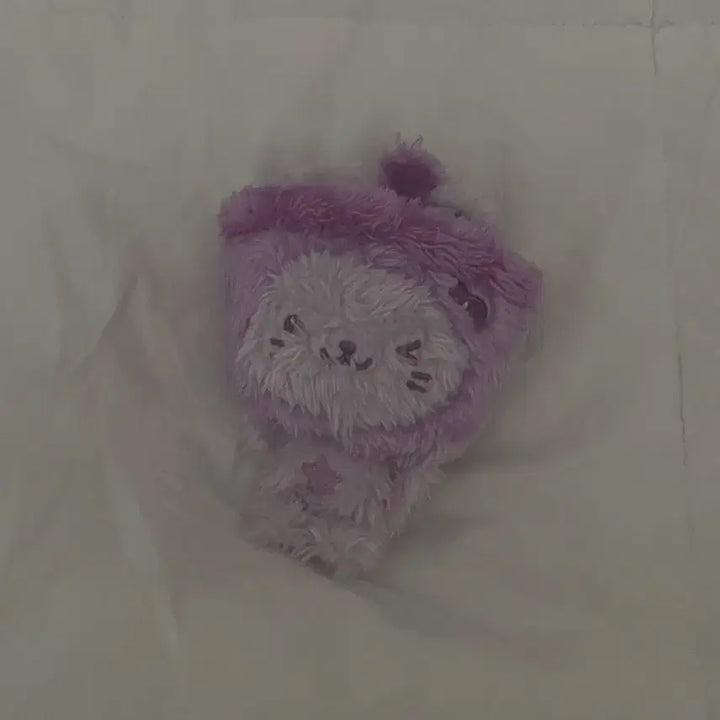 [BUNJANG] NCT WISH Color Wish Doll Purple Bubble Nyan / 급처)엔시티위시 컬러 위시돌 보라 버블냥