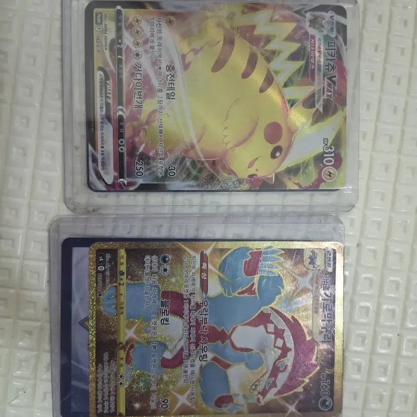 [BUNJANG] Pokemon Card Pikachu VMAX &amp; Garchomp V / 포켓몬 카드 피카츄VMAX + 한카리아스V
