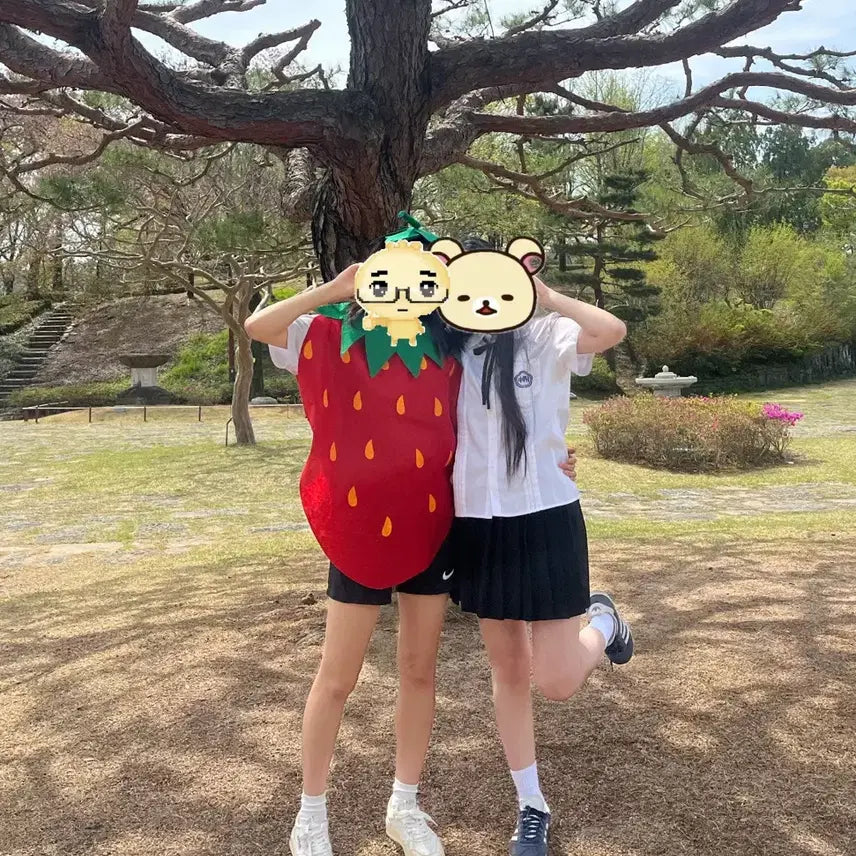 [SOLD OUT] 과일 딸기 컨셉 졸업사진