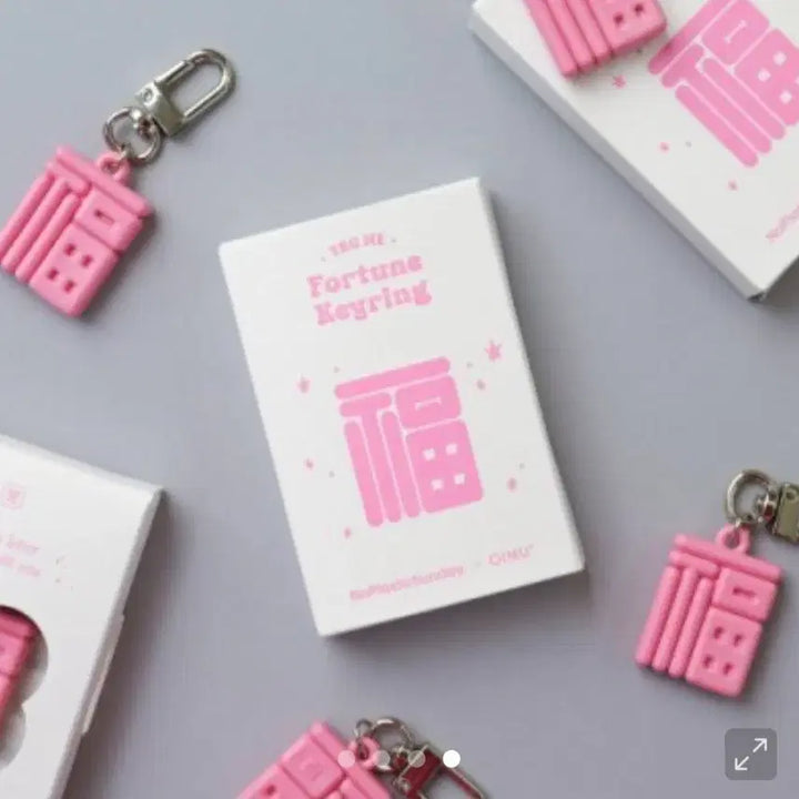 [BUNJANG] Oimu Tag Me Fortune Keyring / 노플라스틱선데이 오이뮤 태그미 복 운세키링 NFC 키링
