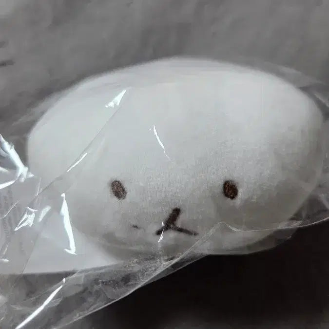 [BUNJANG] Sealed Teragi Chapsal Plush / 터래기 찹쌀찹쌀 때려주세요 양도 (미개봉)