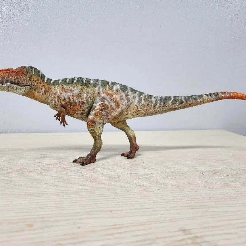 [BUNJANG] Haolonggood Carcharodontosaurus Figure / 하오롱굿 카르카로돈토사우루스 피규어