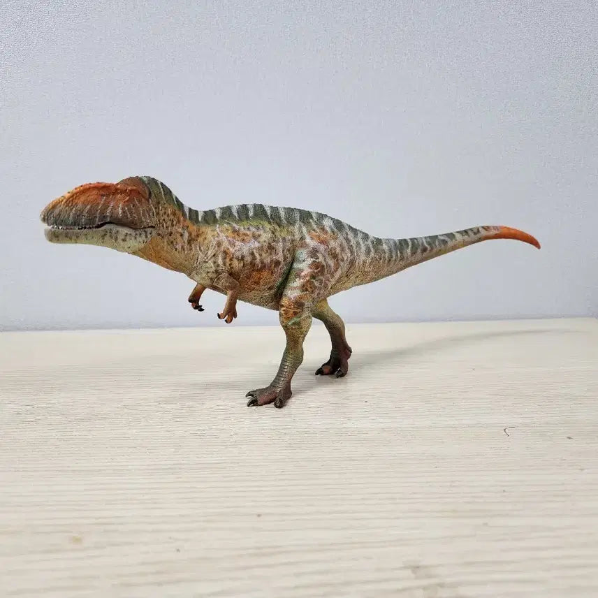 [BUNJANG] Haolonggood Carcharodontosaurus Figure / 하오롱굿 카르카로돈토사우루스 피규어
