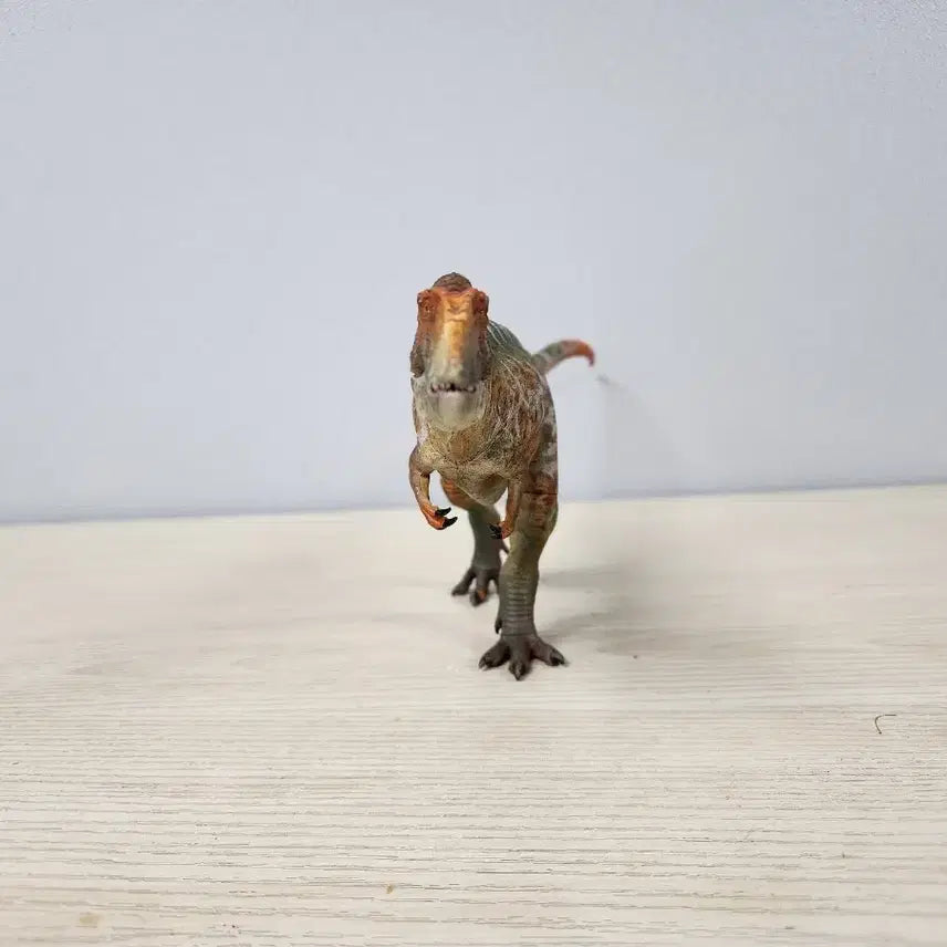 [BUNJANG] Haolonggood Carcharodontosaurus Figure / 하오롱굿 카르카로돈토사우루스 피규어