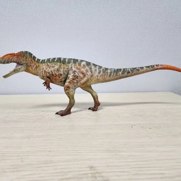 [BUNJANG] Haolonggood Carcharodontosaurus Figure / 하오롱굿 카르카로돈토사우루스 피규어