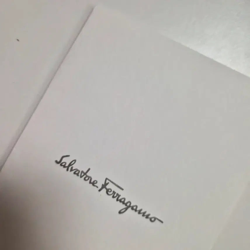 [BUNJANG] Ferragamo Ginny Chain Bag / 페라가모 바라 리본 체인백 Ginny / 풀구성 / 상태좋음