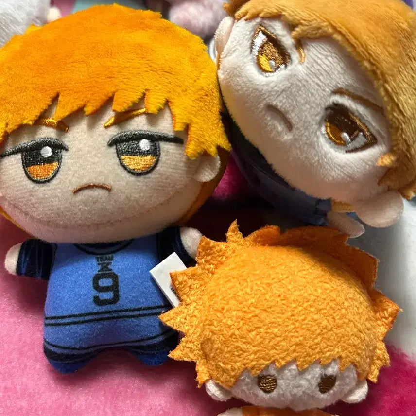 [BUNJANG] Blue Lock Kunigami Nui Plush Doll / 블루록 쿠니가미 누이 인형 모찌마스 양도