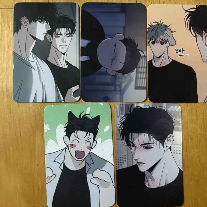[BUNJANG] Tounique Sanggeuk Beamax Photocard Bundle Set / 투니크 상극 비많엑 방문 포카 방포 양도