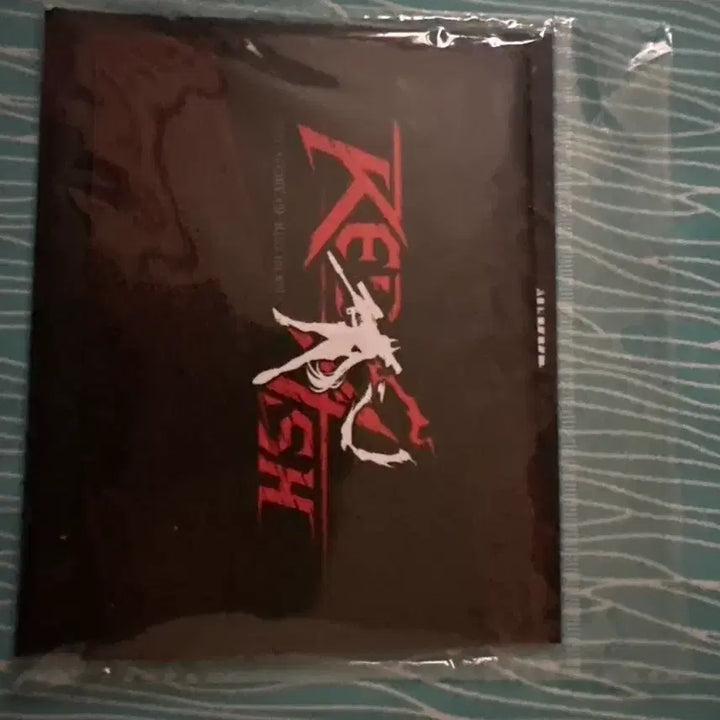 [SOLD OUT] 니케 레드후드 인화 사진 3종 팝니다
