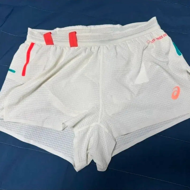 [BUNJANG] Asics Metarun Limited Edition Shorts / [M]아식스 메타런 리미티드에디션 쇼츠