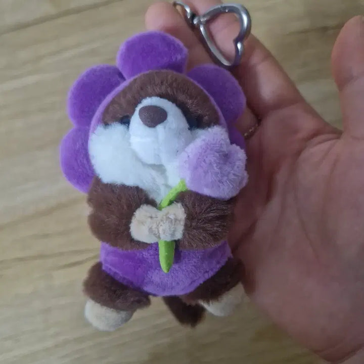 [BUNJANG] Rakko-san Plush Keychain / 랏코상 인형  키링 등등 사진 옆으로 넘겨봐요